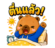 884413561