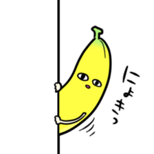 8844136