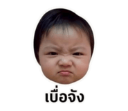 884415084