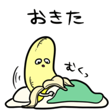8844174