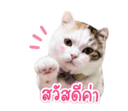 884418689