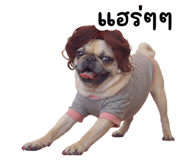 884418907
