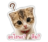 884433714