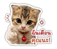 884433715