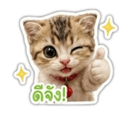 884433718