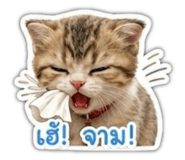 884433720