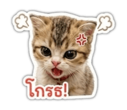 884433721