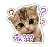 884433722