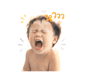 884440249