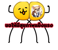 884444253
