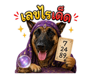 884447628