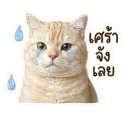884465049