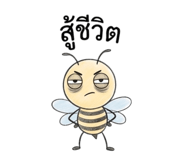 884468645