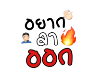 884488156