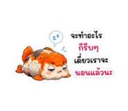 884491586