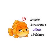 884491587