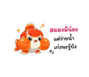 884491588