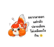 884491591