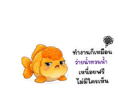 884491592