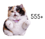 884491940