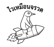 884492498