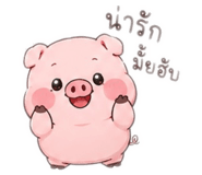 884500858