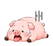 884504494