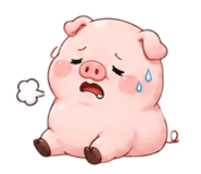 884504495