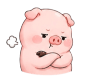 884504501