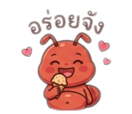 884504638
