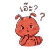 884504642