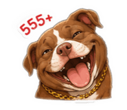 884504941