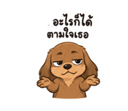 884507002