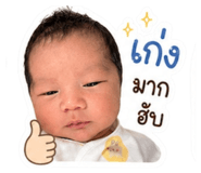 884509977