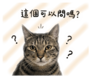 884520204