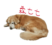 884522378