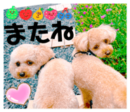 884523496