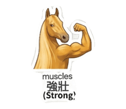 884537605