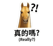 884537615