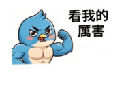 884538157