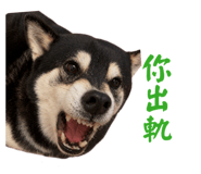 884538655