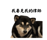 884538656