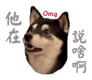 884538661