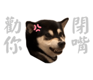 884538663