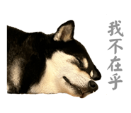 884538664