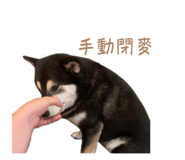 884538669