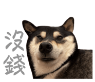 884538672