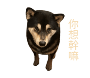 884538674