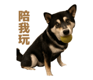 884538676