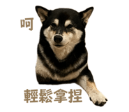 884538677